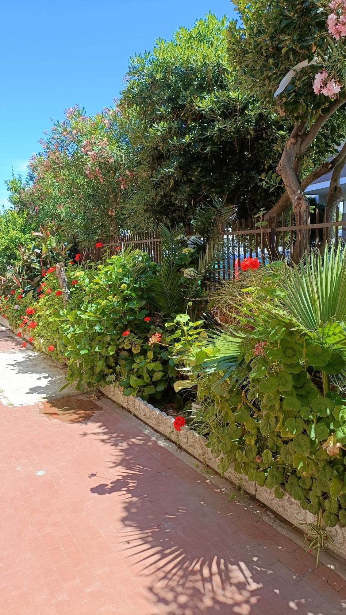 Fco Airport - A Casa Di Gisa Διαμέρισμα Φιουμιτσίνο Εξωτερικό φωτογραφία
